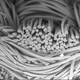 This image, captured under a microscope by the NIST team, shows the cross-sectional shapes of individual polyester fibers.